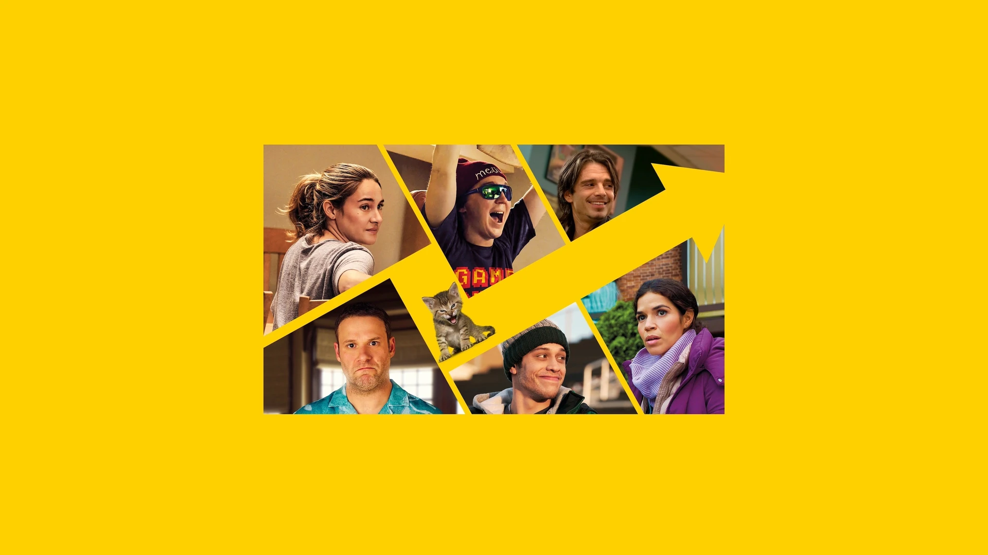 Keith Gill (Paul Dano) on his livestream, surrounded by charts and his cat, intensely focused.